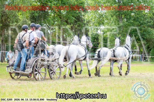 Mintakép 20260613-1534