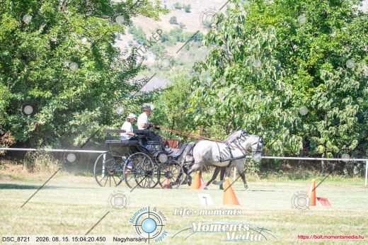 Mintakép 20260815-970