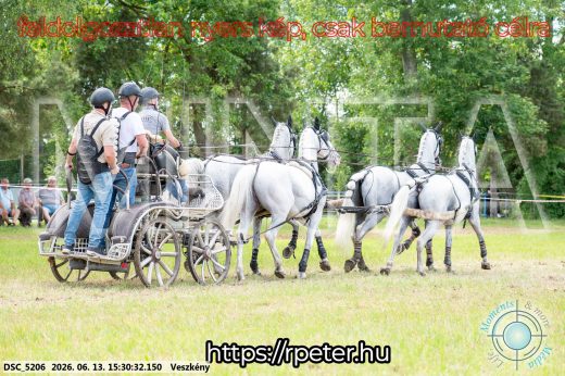 Mintakép 20260613-1535