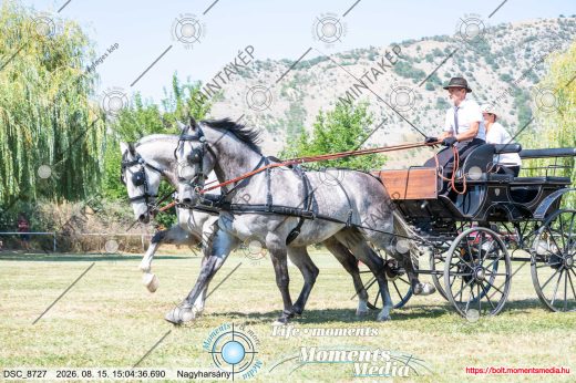 Mintakép 20260815-975