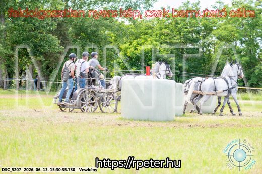 Mintakép 20260613-1536