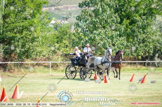 Mintakép 20260815-984