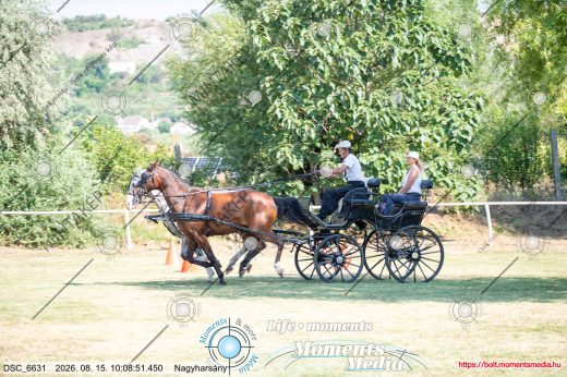 Mintakép 20260815-988