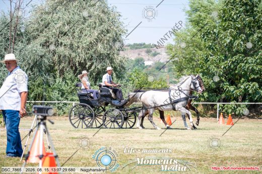 Mintakép 20260815-994
