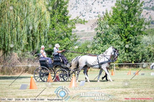 Mintakép 20260815-1005