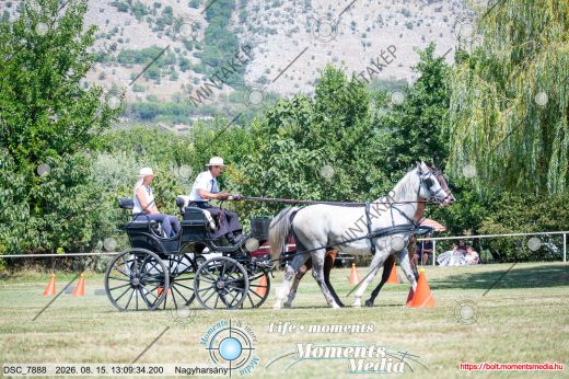 Mintakép 20260815-1006