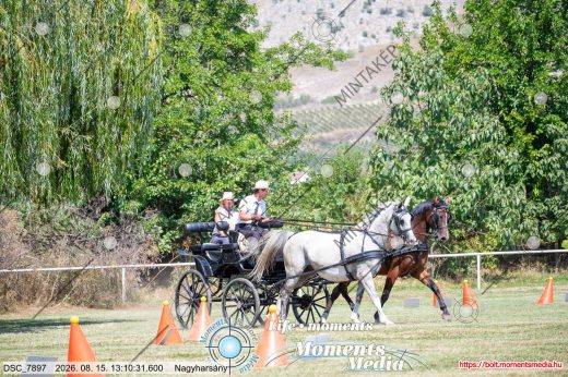 Mintakép 20260815-1011