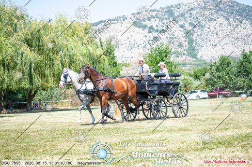 Mintakép 20260815-1015