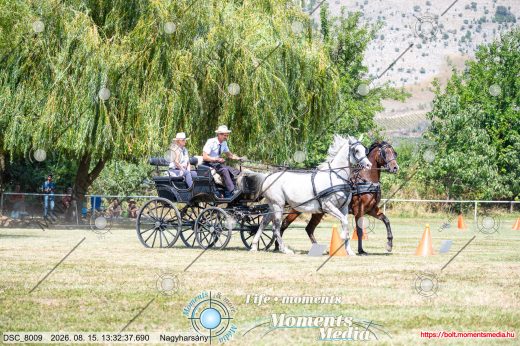 Mintakép 20260815-1025