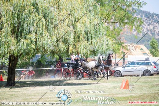 Mintakép 20260815-1027