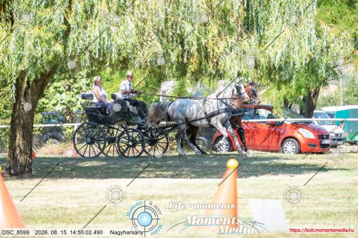 Mintakép 20260815-1038