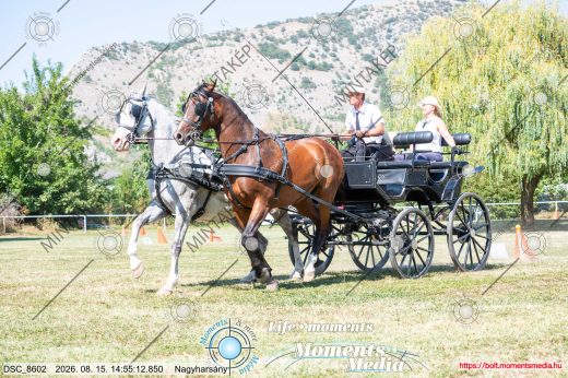 Mintakép 20260815-1040