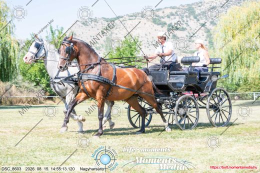 Mintakép 20260815-1041