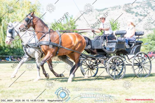 Mintakép 20260815-1042