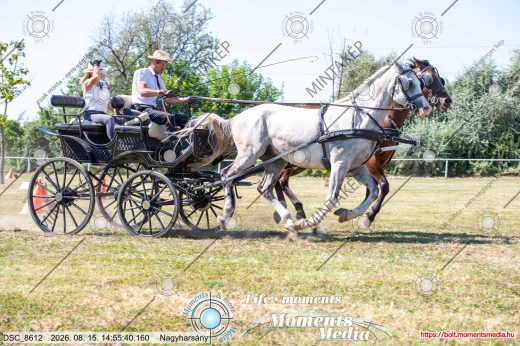 Mintakép 20260815-1047