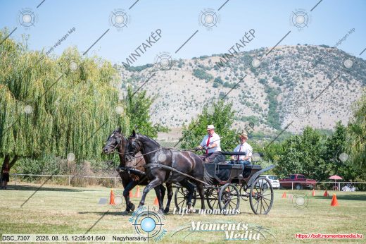 Mintakép 20260815-1067