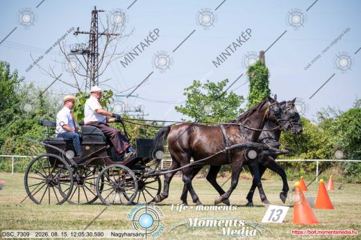 Mintakép 20260815-1069