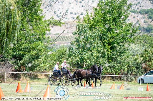 Mintakép 20260815-1070