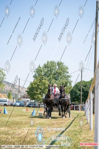 Mintakép 20260815-1074