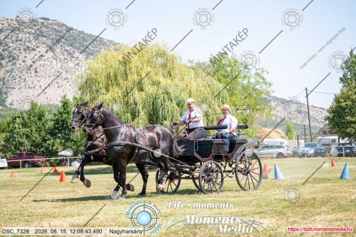 Mintakép 20260815-1078