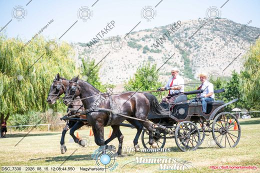 Mintakép 20260815-1079