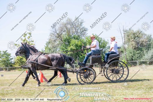 Mintakép 20260815-1084