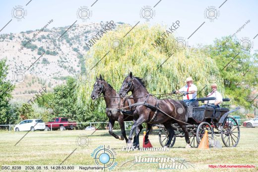 Mintakép 20260815-1088