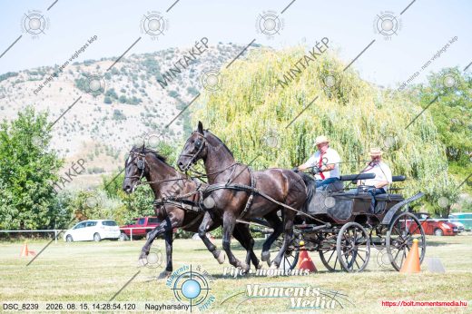 Mintakép 20260815-1089