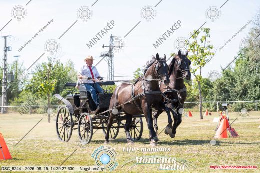 Mintakép 20260815-1090
