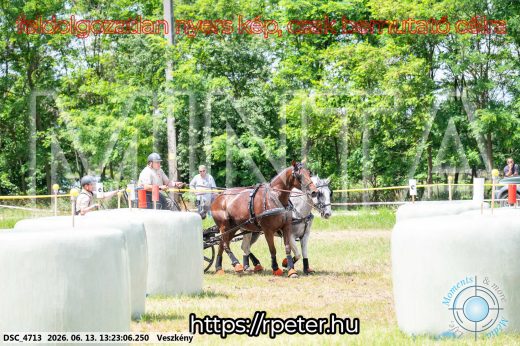 Mintakép 20260613-124