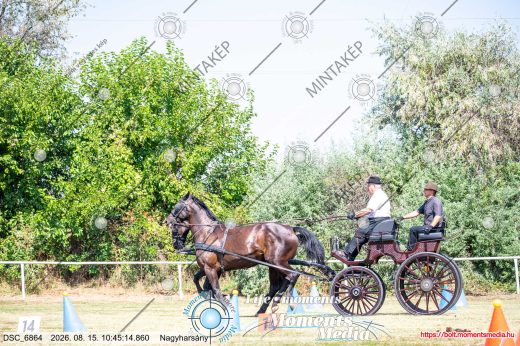 Mintakép 20260815-1097