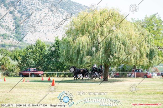Mintakép 20260815-1102