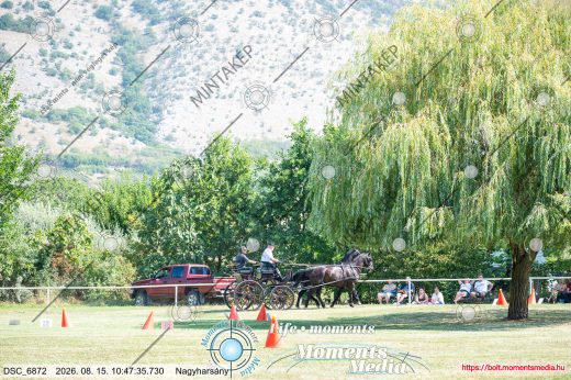 Mintakép 20260815-1103