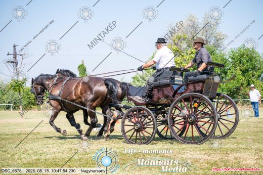 Mintakép 20260815-1107