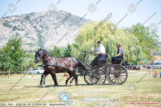 Mintakép 20260815-1108