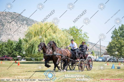 Mintakép 20260815-1119
