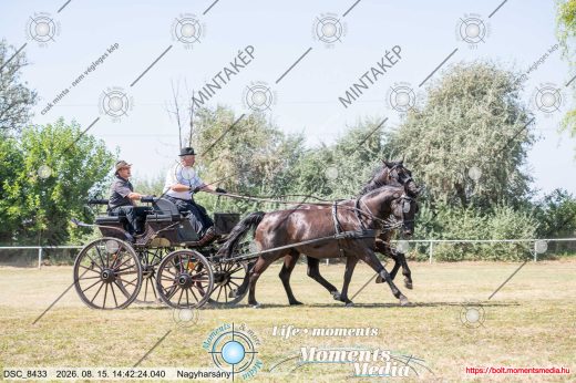 Mintakép 20260815-1125