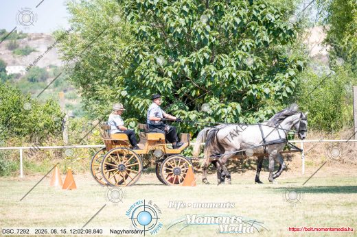 Mintakép 20260815-1159