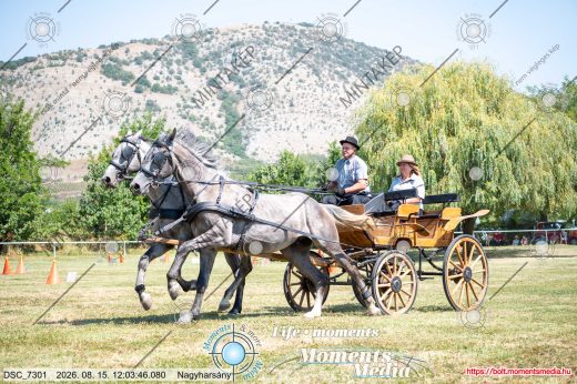 Mintakép 20260815-1164