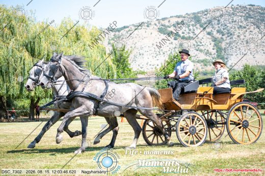 Mintakép 20260815-1165