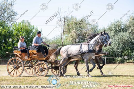 Mintakép 20260815-1171