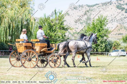 Mintakép 20260815-1175