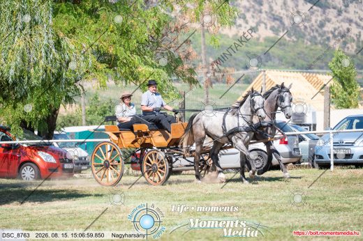 Mintakép 20260815-1182