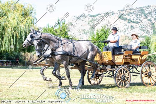Mintakép 20260815-1185