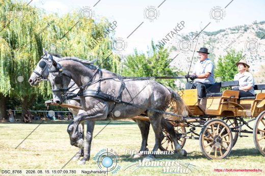 Mintakép 20260815-1186