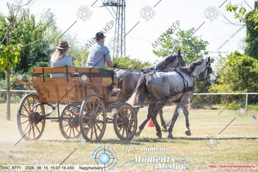 Mintakép 20260815-1188