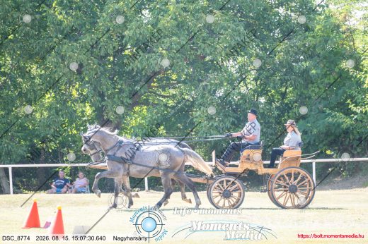 Mintakép 20260815-1190