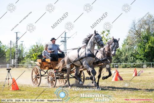 Mintakép 20260815-1192