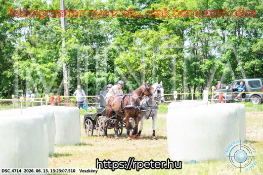 Mintakép 20260613-125