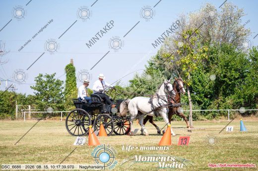 Mintakép 20260815-1200